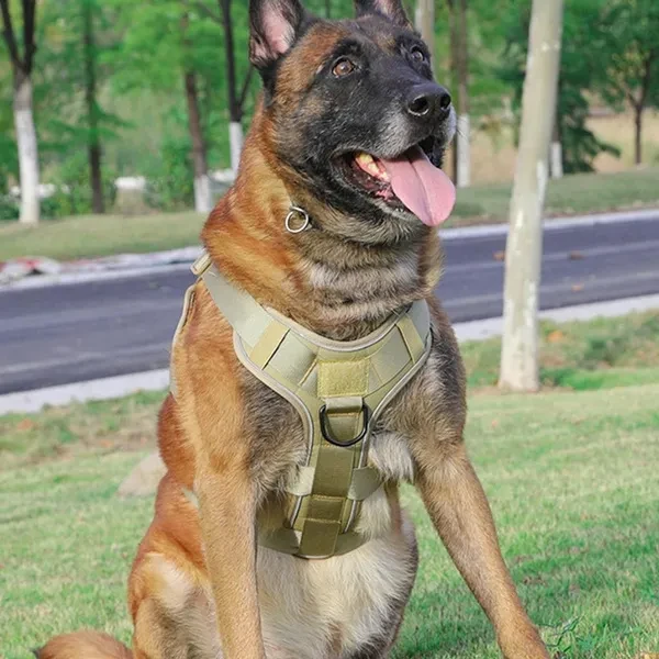 Medium Dog Control Harnesses Secure Medium Dog Harnesses Handle Tractions Dog for Hiking and Walking