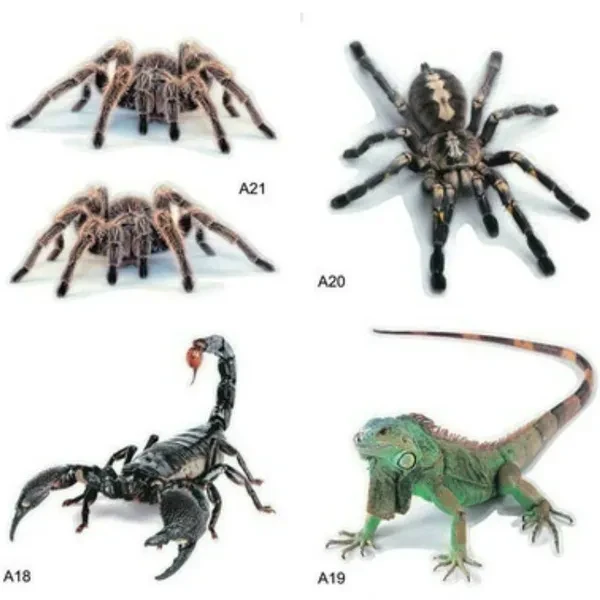 3D Car Sticker Simulation Animals Bumper Retrofit Stickers for Spider Gecko Scorpions