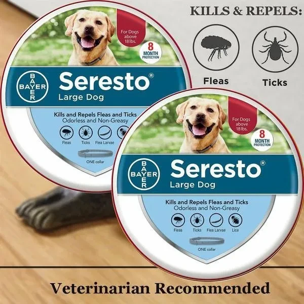 New Pets Collar for Cat and Large Dogs or Small Dogs